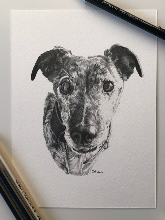 Custom pet portrait - Black and white
