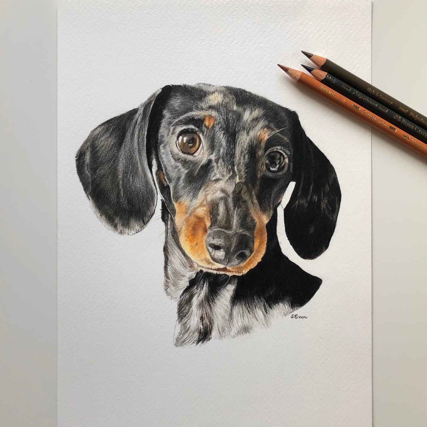 Custom pet portrait - Colour