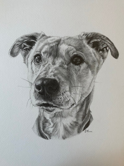 Custom pet portrait - Black and white