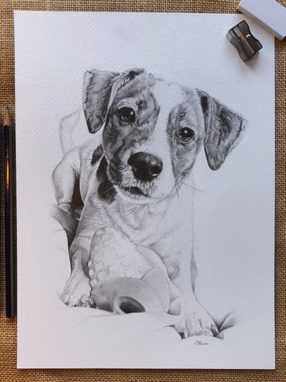 Custom pet portrait - Black and white