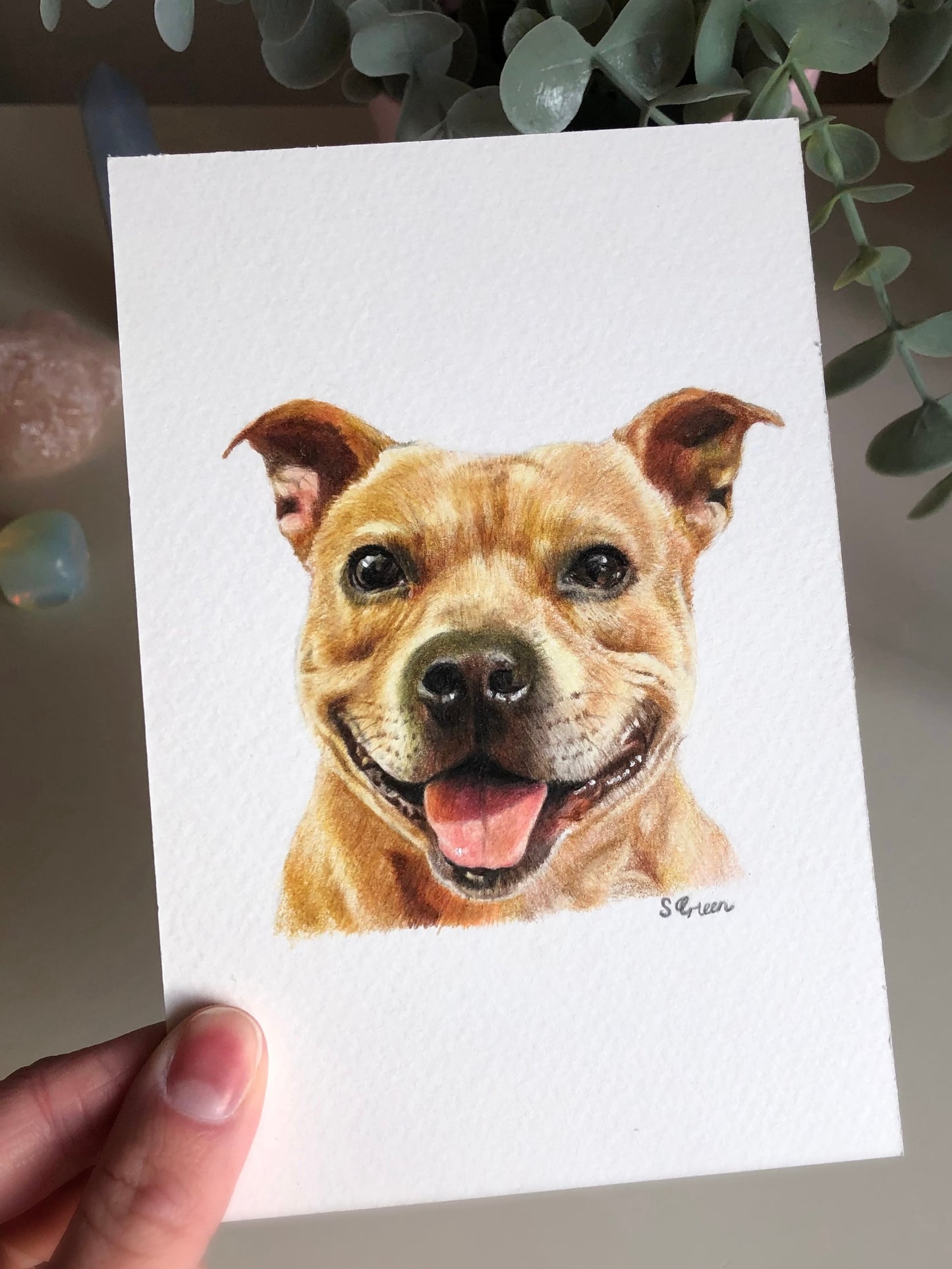 Custom pet portrait - Colour