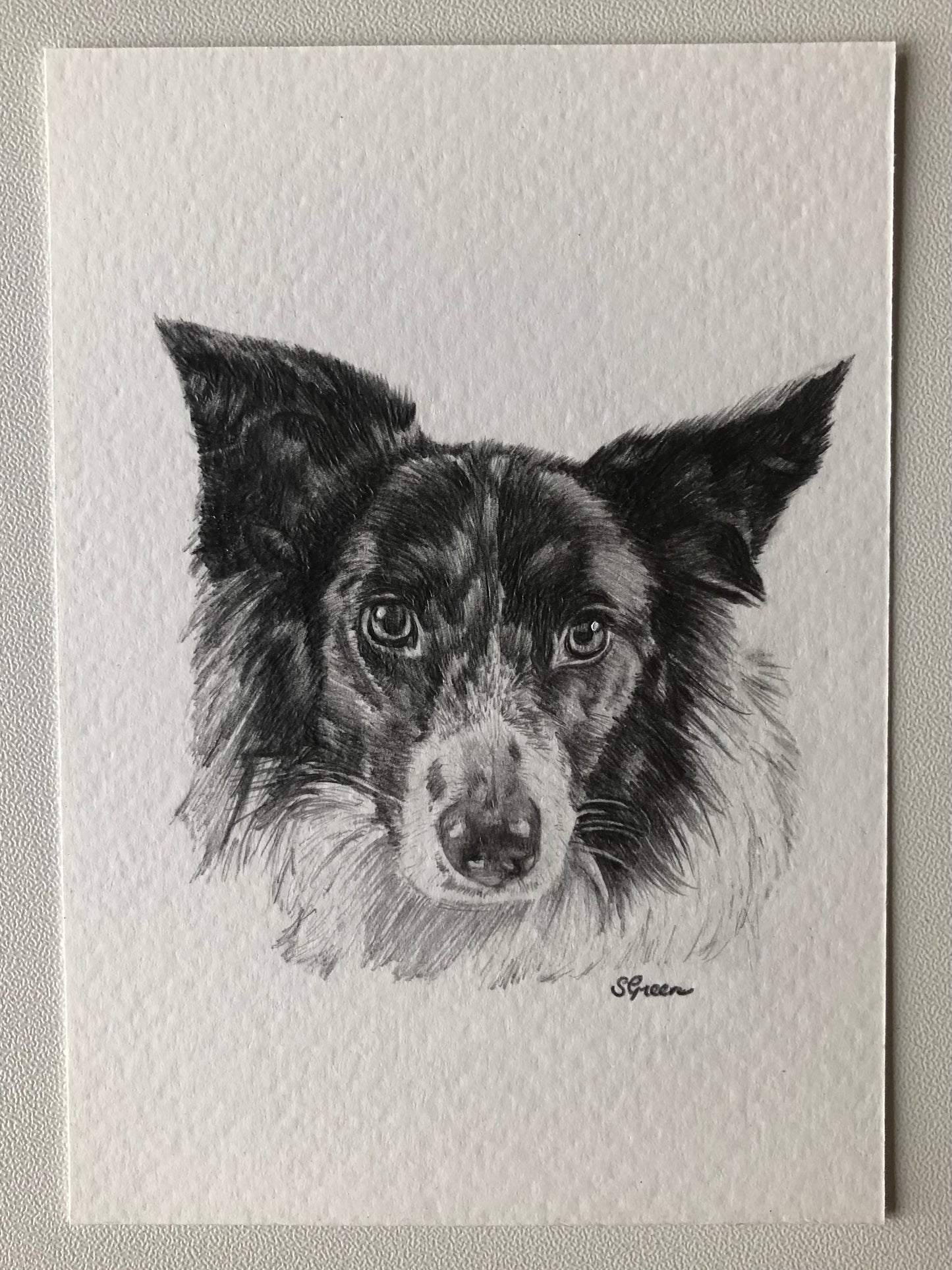 Custom pet portrait - Black and white