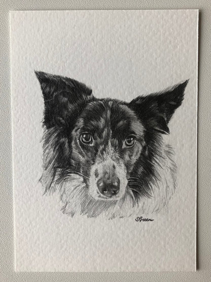 Custom pet portrait - Black and white