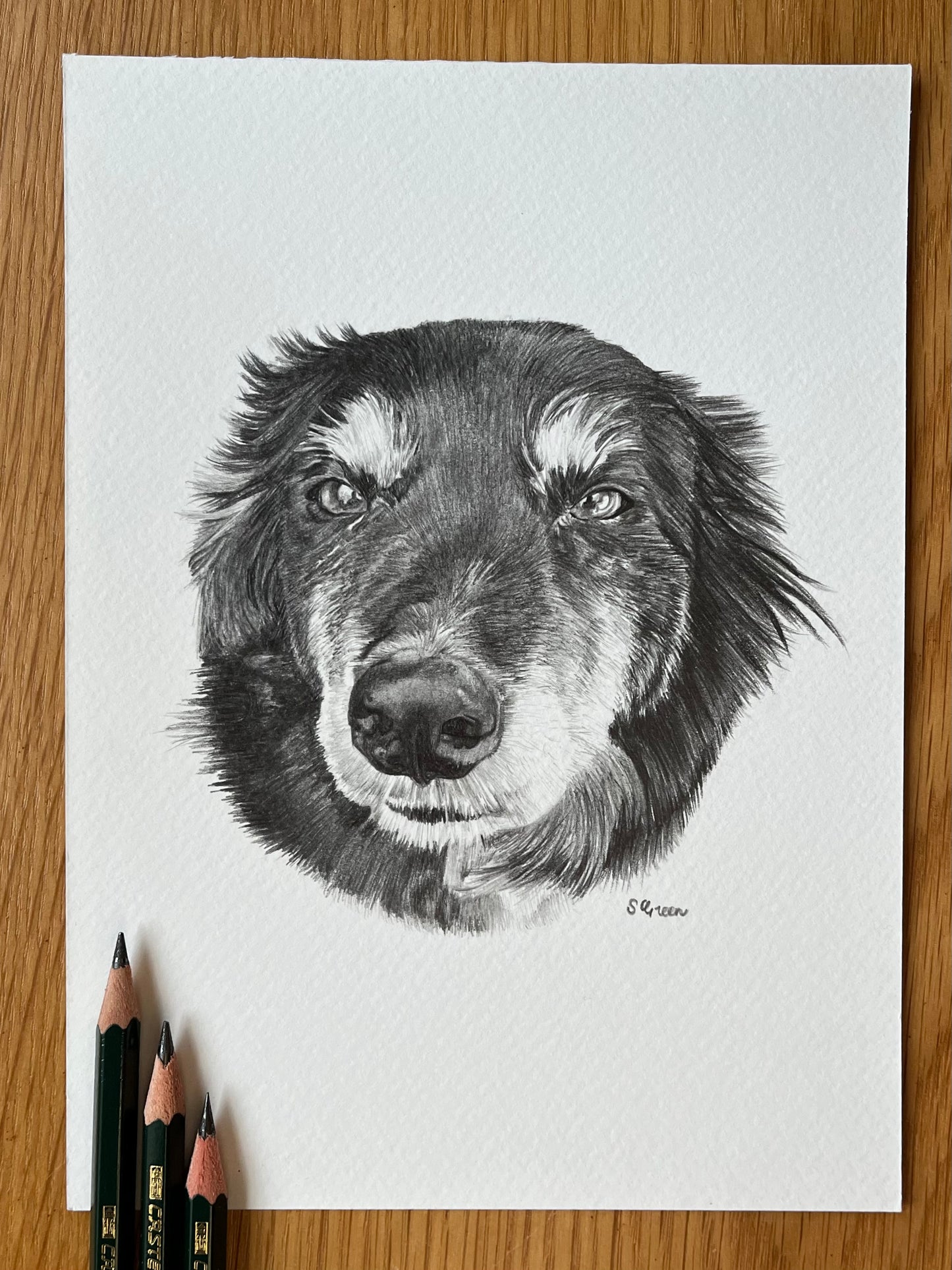 Custom pet portrait - Black and white