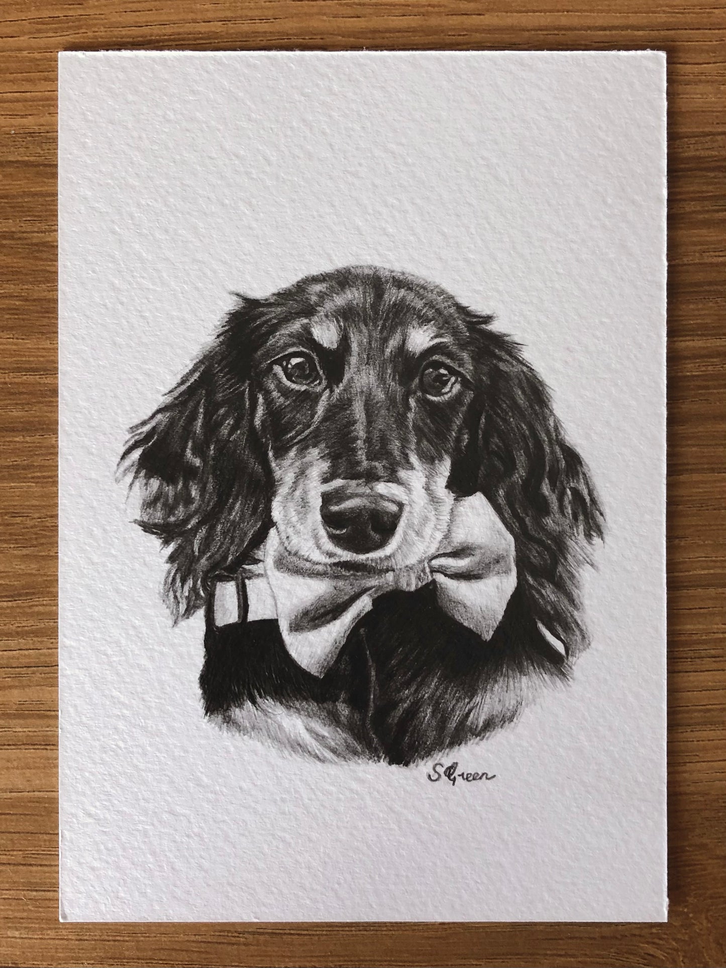 Custom pet portrait - Black and white