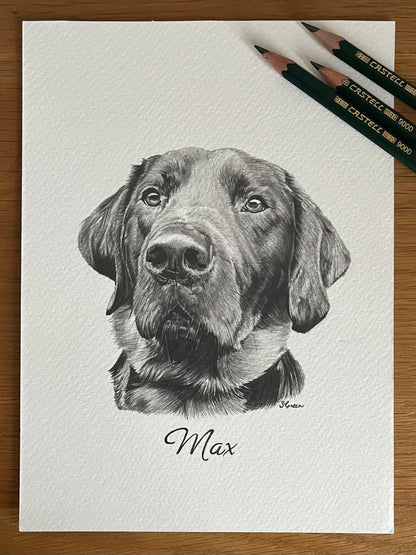 Custom pet portrait - Black and white