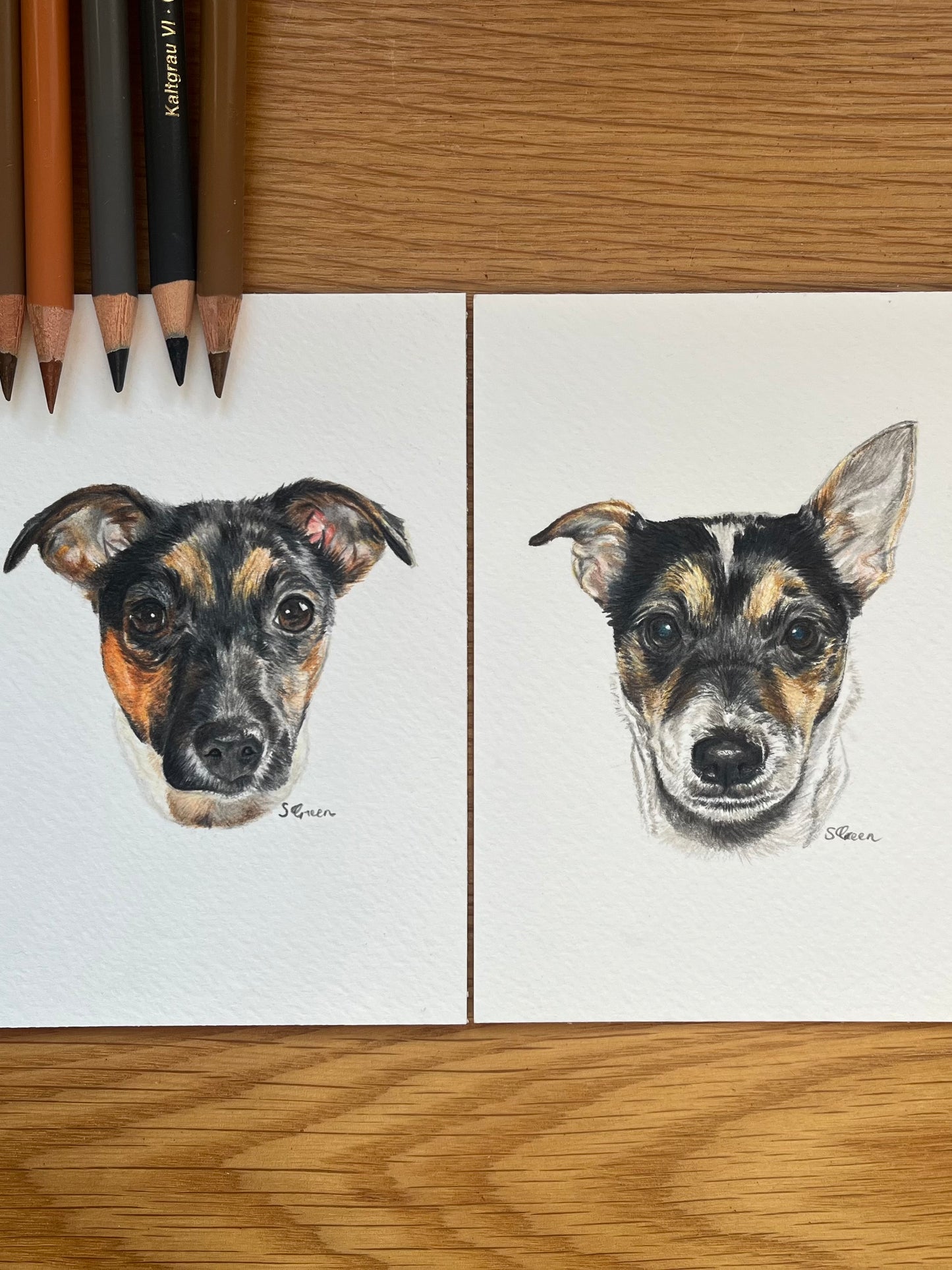 Custom pet portrait - Colour