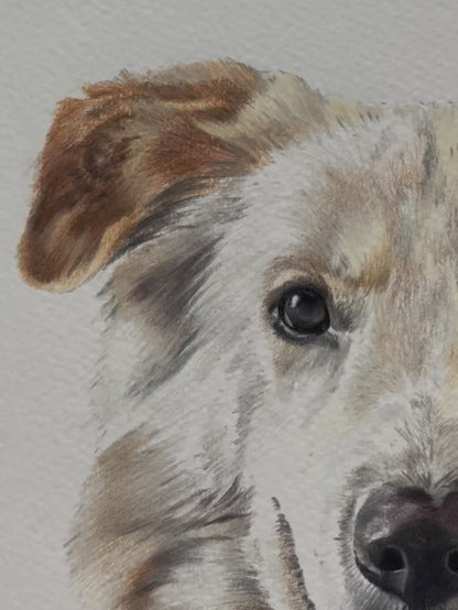 Custom pet portrait - Colour