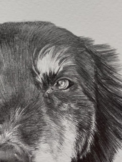 Custom pet portrait - Black and white